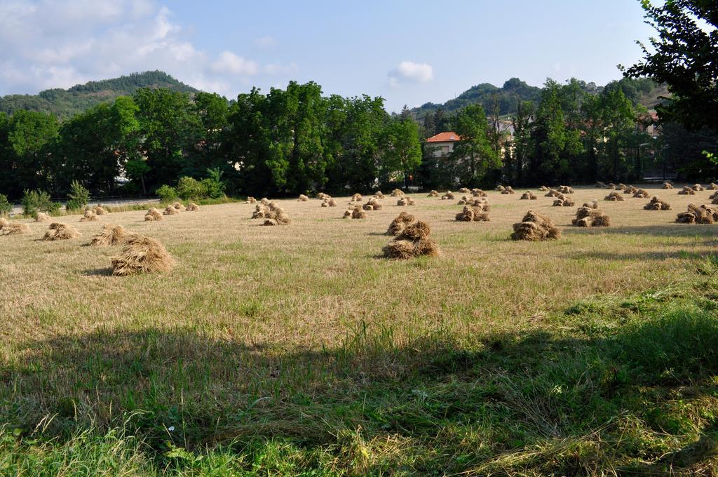卡伊罗蒙泰诺泰Le Macine Relais住宿加早餐旅馆 外观 照片
